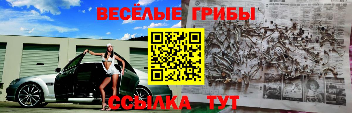 Галлюциногенные грибы мицелий Иваново